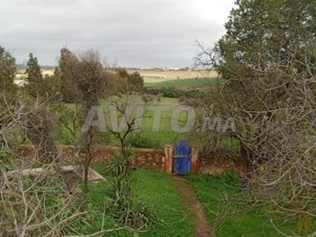 Propriété vente à Mediouna, Gharb-Chrarda-Beni Hssen