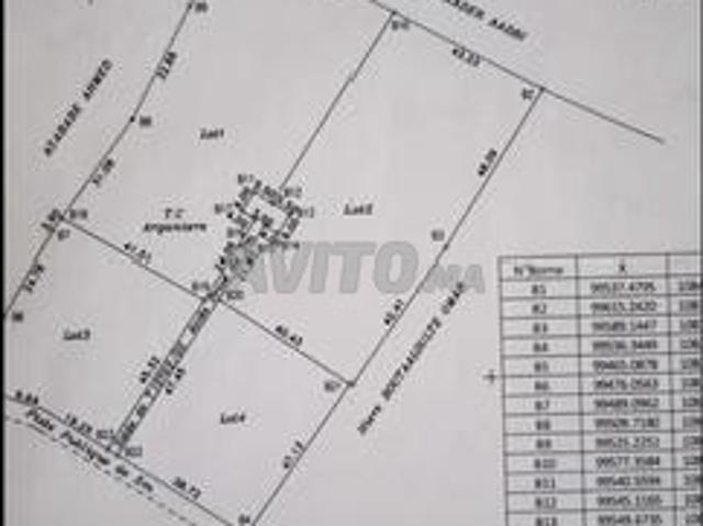 Propriété vente à Essaouira, L'Oriental