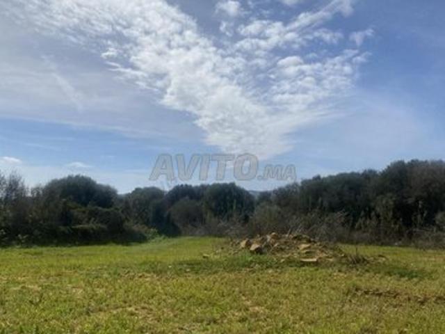 Propriété vente à Assilah, Tanger-Tétouan