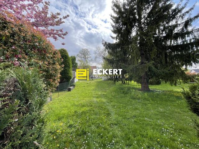 Terrain vente à Saverne, Dingsheim