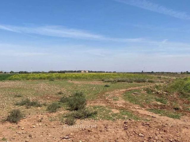 Terrain vente à Marrakech, L'Oriental