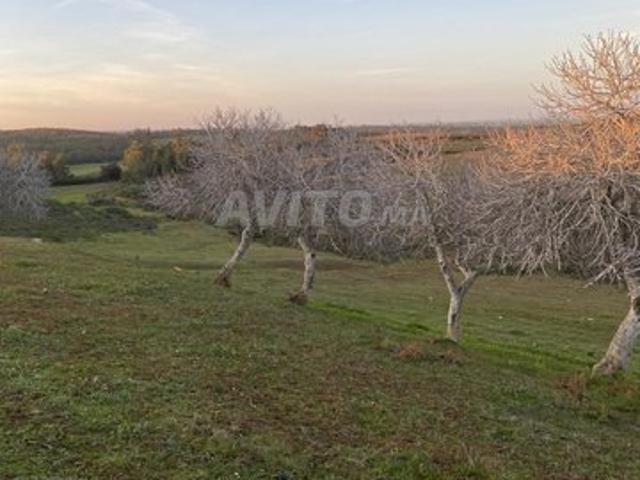 Propriété vente à Assilah, Tanger-Tétouan