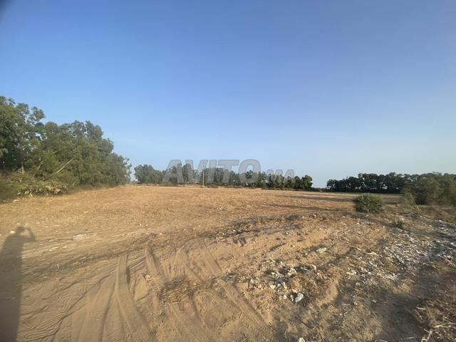 Propriété vente à El Ma, Gharb-Chrarda-Beni Hssen