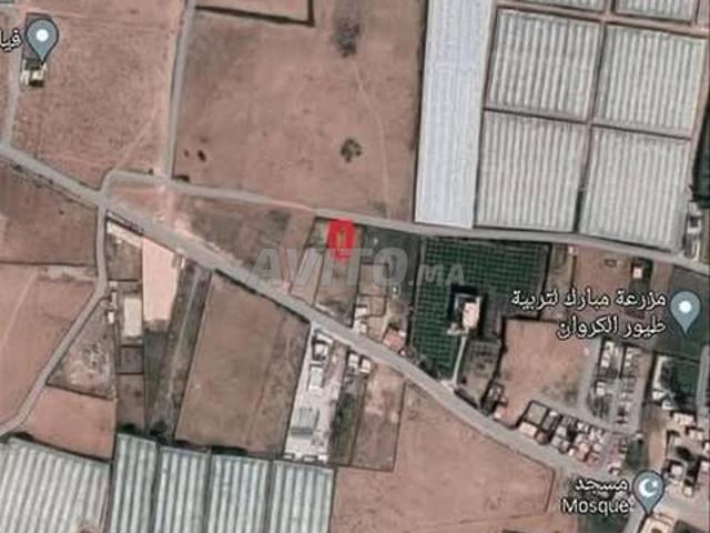 Propriété vente à Sidi Bidi, Oued ed Dahab-Lagouira