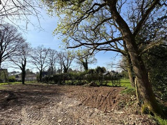 Terrain vente à Châteaubriant-Ancenis, Guémené-penfao