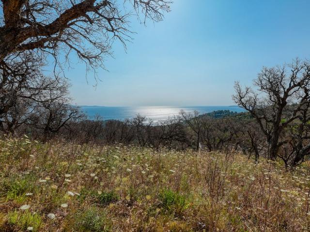 Terrain vente à Arrondissement de Toulon, Bormes-les-mimosas