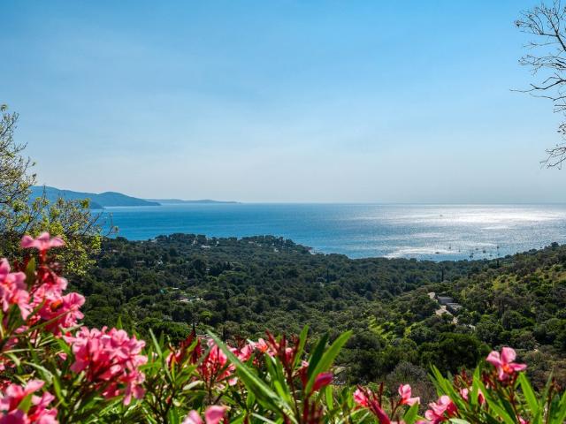 Terrain vente à Arrondissement de Toulon, Bormes-les-mimosas