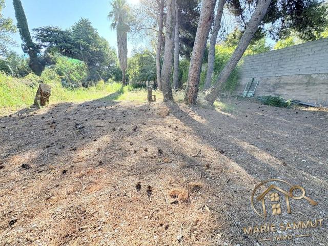 Terrain vente à Montpellier