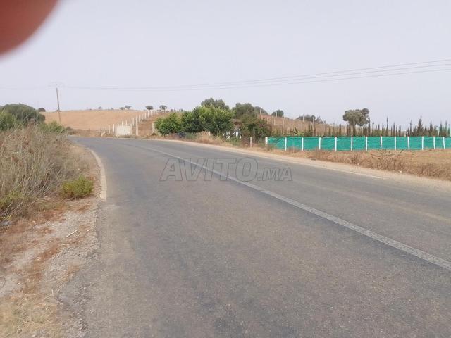 Propriété vente à Assilah, Tanger-Tétouan