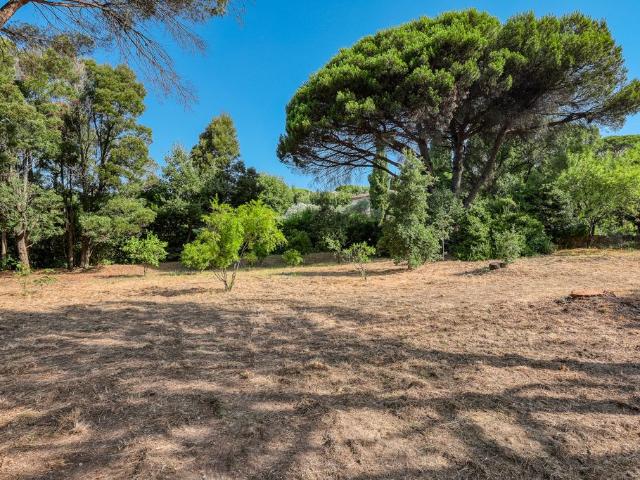 Terrain vente à Arrondissement de Draguignan, Saint-tropez