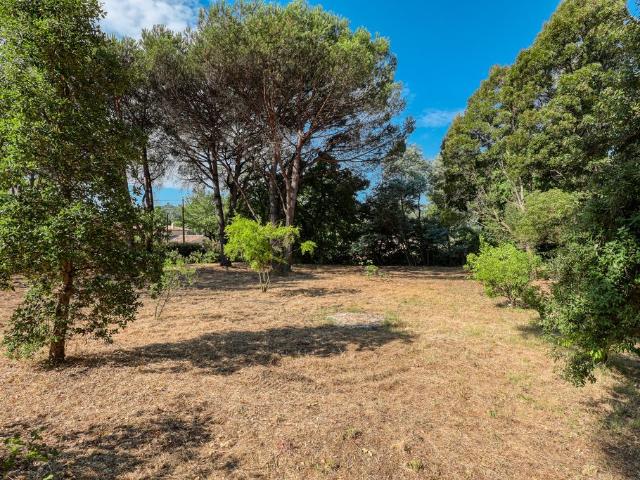 Terrain vente à Arrondissement de Draguignan, Saint-tropez