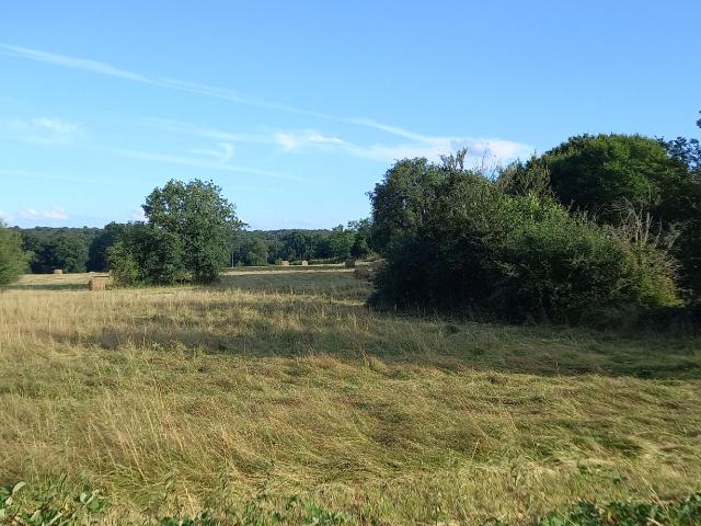 Terrain vente à Périgueux, Montpon-ménestérol