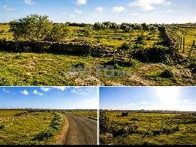 Propriété vente à Pachalik de Safi باشوية آسفي, Province de Safi إقليم أسفي