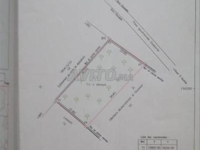 Propriété vente à Pachalik de Safi باشوية آسفي, Province de Safi إقليم أسفي