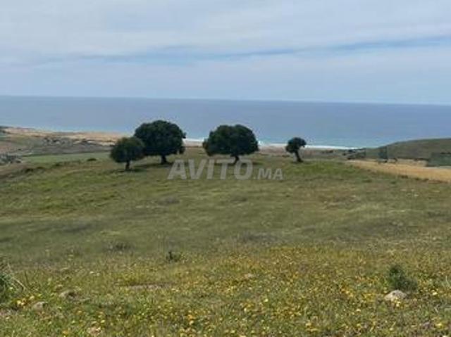 Propriété vente à Assilah, Tanger-Tétouan