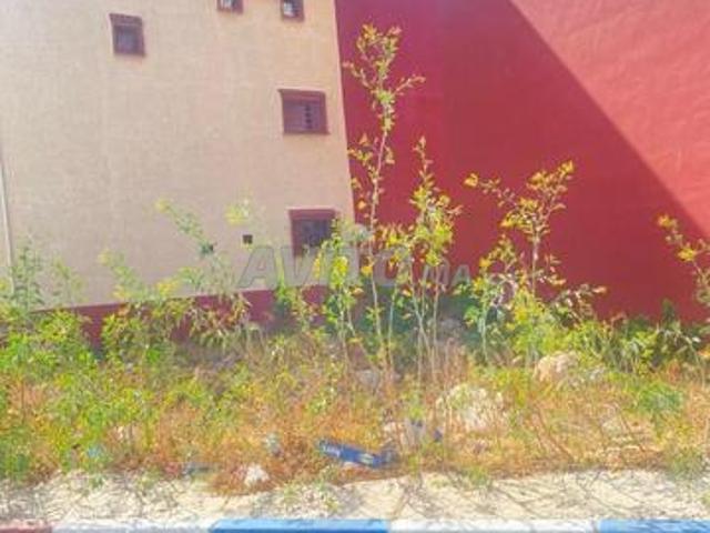 Propriété vente à Saf, L'Oriental