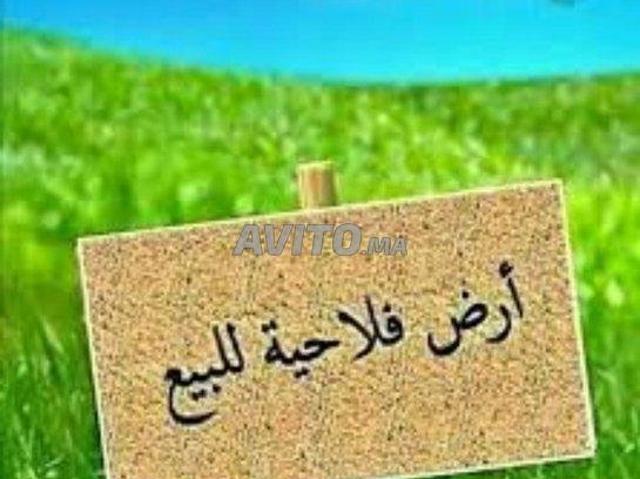 Propriété vente à Mohammedia, Gharb-Chrarda-Beni Hssen