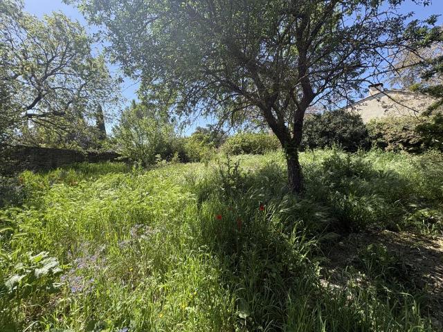 Terrain vente à Apt, Cabrières-d'avignon