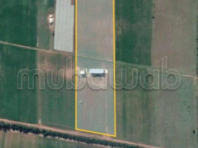 Ferme vente à El Ma, Gharb-Chrarda-Beni Hssen