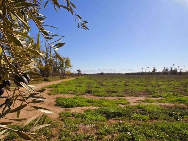 Terrain vente à Marrakech, L'Oriental