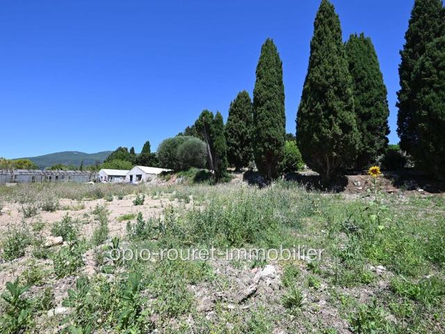 Terrain vente à Grasse, Châteauneuf-grasse