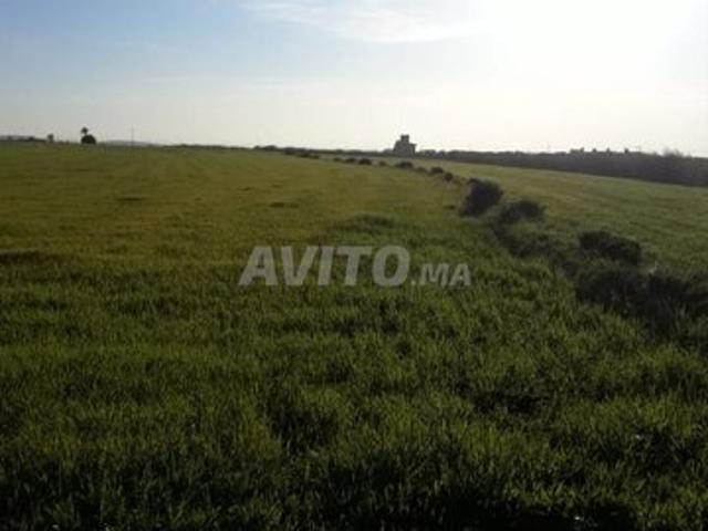 Propriété vente à Slimane, Gharb-Chrarda-Beni Hssen