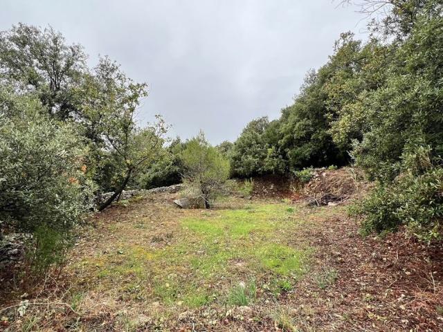 Terrain vente à Grasse, Gattières