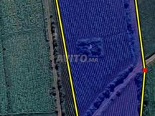 Propriété vente à El Ma, Gharb-Chrarda-Beni Hssen