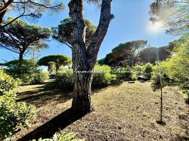 Terrain vente à Arrondissement de Draguignan, Sainte-maxime
