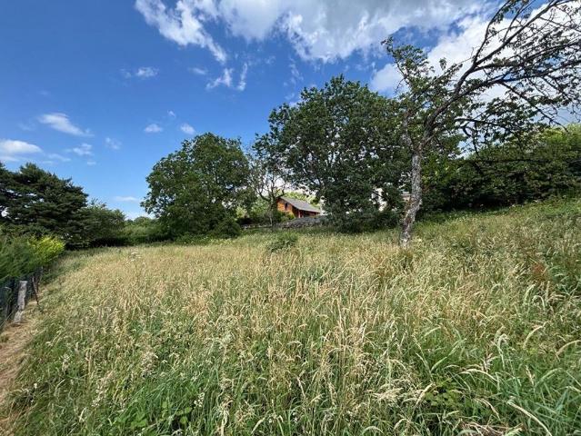 Terrain vente à Thonon-les-Bains, Larringes