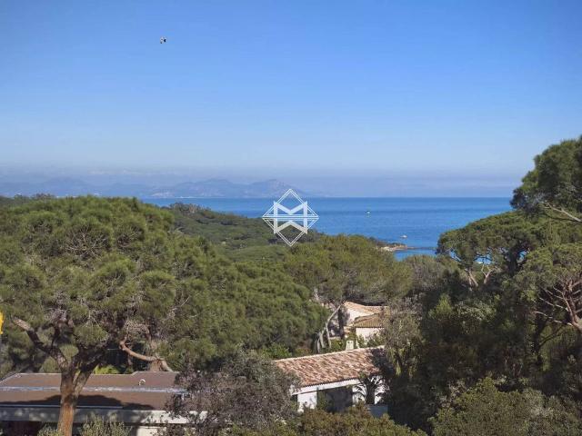 Terrain vente à Saint-tropez