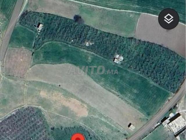 Propriété vente à Imouzzer Des Ida Ou Tanane, Oued ed Dahab-Lagouira