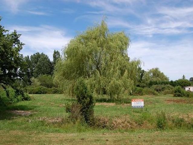 Terrain vente à France métropolitaine, Etauliers