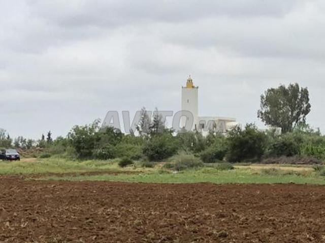 Propriété vente à Fès