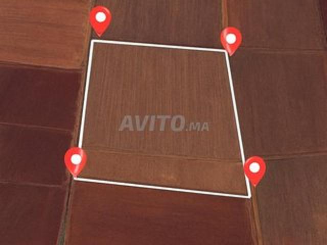 Propriété vente à El Ma, Gharb-Chrarda-Beni Hssen