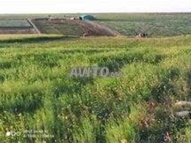 Propriété vente à El Ma, Gharb-Chrarda-Beni Hssen