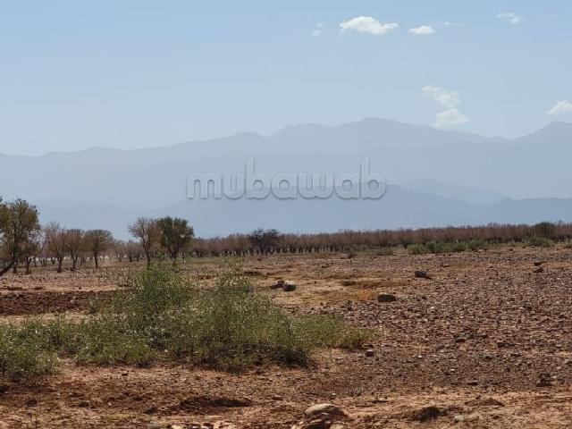 Terrain vente à Marrakech, L'Oriental