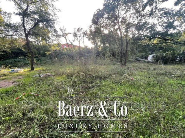 Terrain vente à France métropolitaine, Grimaud