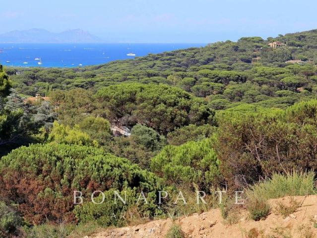 Terrain vente à Arrondissement de Draguignan, Ramatuelle