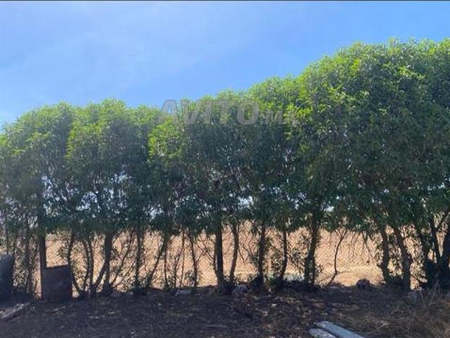 Propriété vente à Had Soualem, Gharb-Chrarda-Beni Hssen
