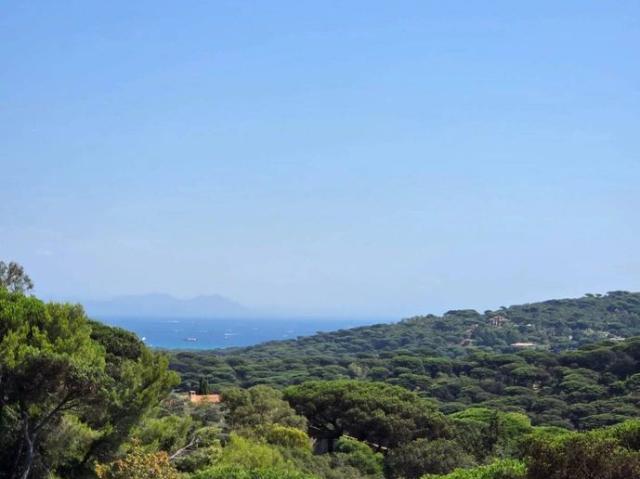 Terrain vente à Arrondissement de Draguignan, Ramatuelle