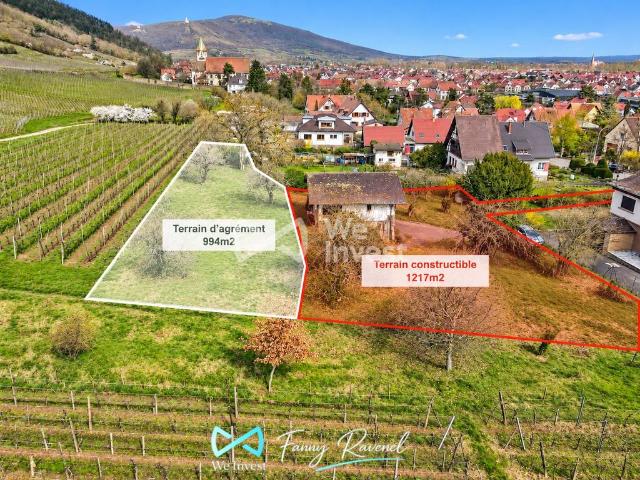 Terrain vente à Sélestat-Erstein, Châtenois