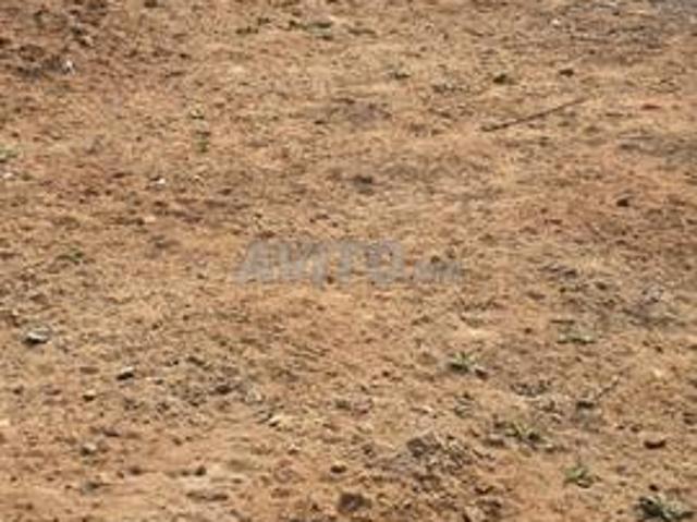 Propriété vente à Moulay Bousselham