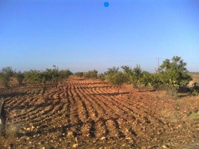 Terrain vente