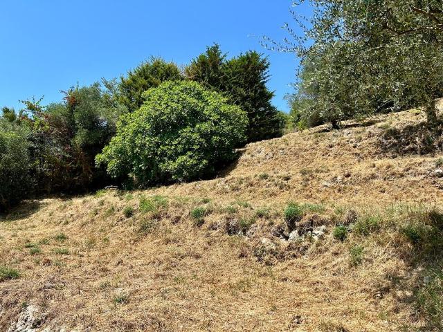 Terrain vente à Falicon