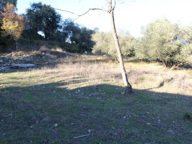 Terrain vente à Nîmes, Uchaud