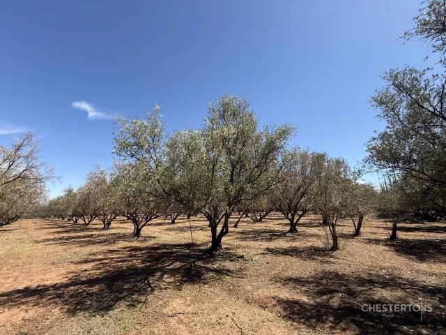 Terrain vente à Marrakech, Marrakech-Tensift-Al Haouz
