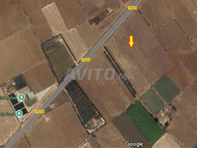 Propriété vente à Mellal