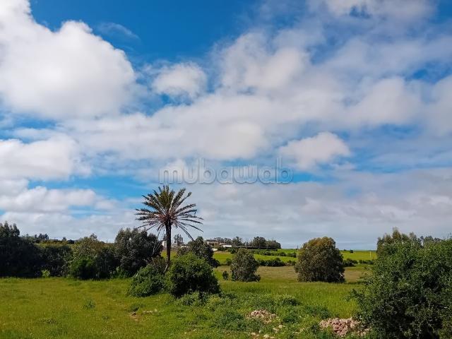 Terrain vente à El Ma, Gharb-Chrarda-Beni Hssen