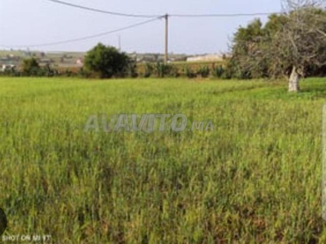 Propriété vente à Slimane, Gharb-Chrarda-Beni Hssen